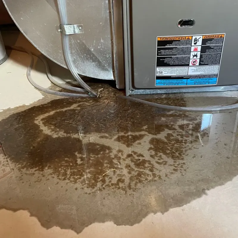 Pipe Burst and Leak Restoration in Puerto Real, PR